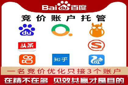 托管SEM竞价优化：提升广告转化率的秘诀